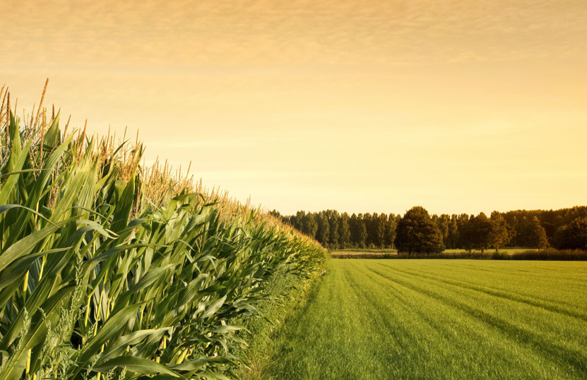 今年(nián)一(yī)季度進出口同比增長(cháng)4.8%——我國(guó)外(wài)貿實現(xiàn)平穩開(kāi)局