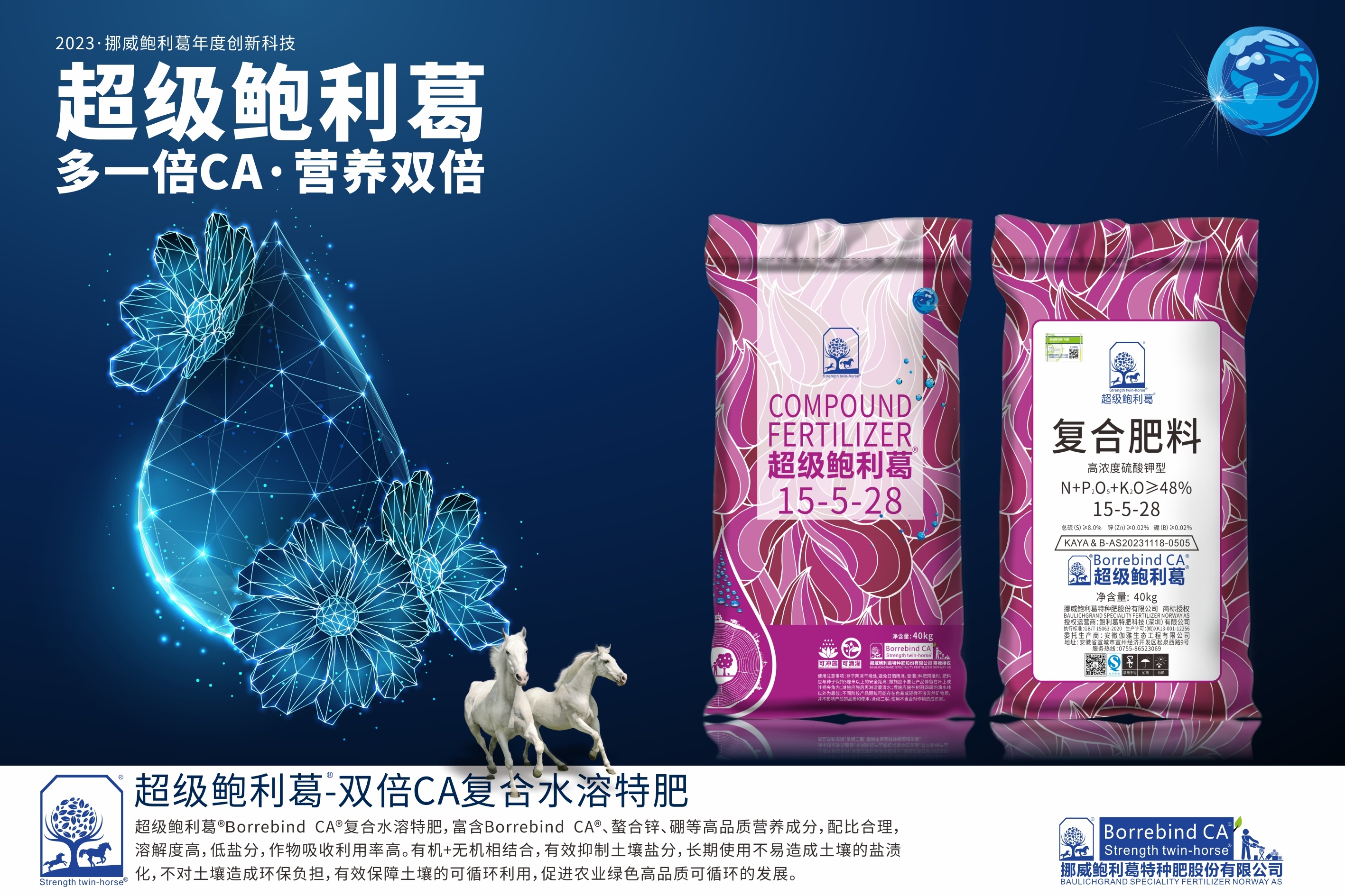 超級鮑利葛15-5-28